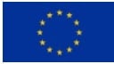 European union flag