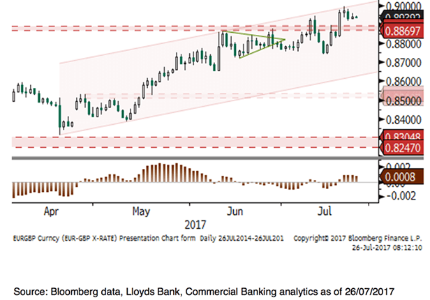 Wilkin at Lloyds Bank analysis GBP to EUR