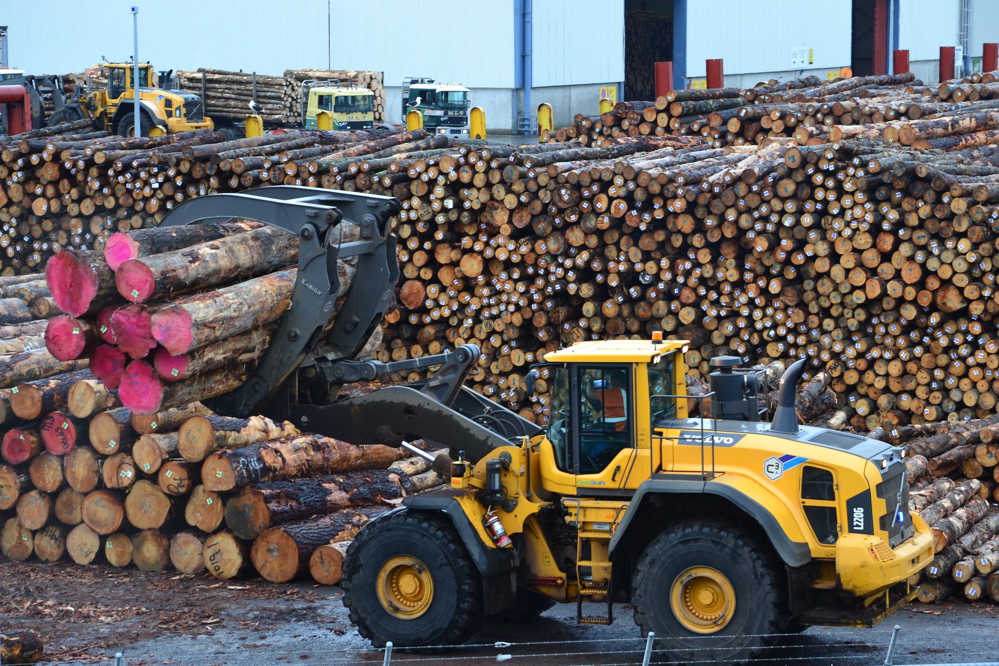https://www.poundsterlinglive.com/images/stock/new-zealand-exports-timber.jpg