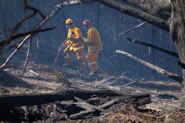 Australian Dollar and impact of bushfires