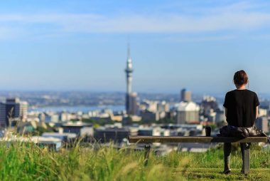 New Zealand Dollar is Dropping, Despite Genuine Good Economic News