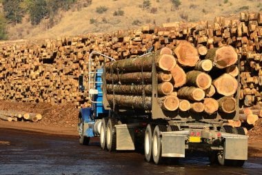 Canadian Dollar and lumber exports