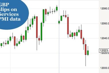 pound to euro services pmi