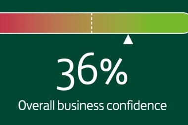 Business confidence rebounds
