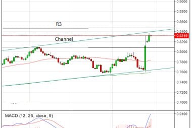 euro to pound analysis