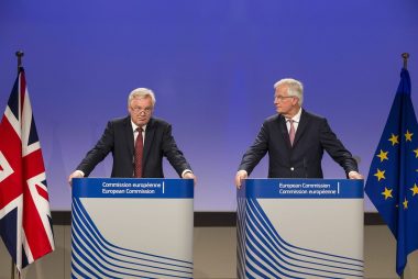 Davis lays out plans for EU interim customs union