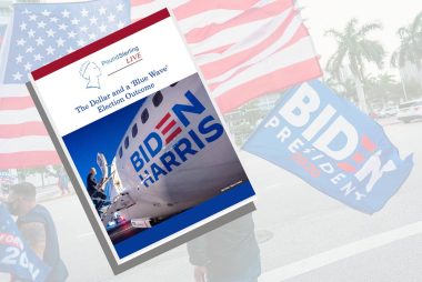 Election guide download