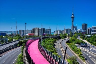 New Zealand Dollar's Nadir Has Been Reached Show Westpac's Forecasts