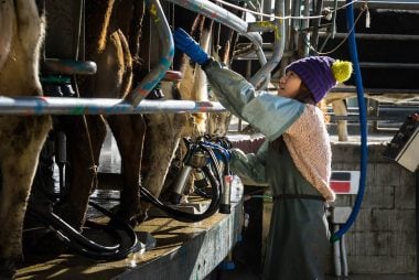 New Zealand Can Pull "A Trick from the Bag" and Appreciate, says ANZ
