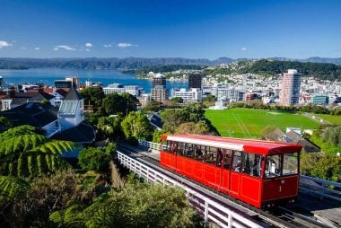 New Zealand Dollar Forecast to Fall in 2025 by Westpac