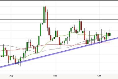 Euro dollar forecasts