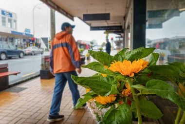 New Zealand Dollar Forecast to Stay Pressured by Commerzbank