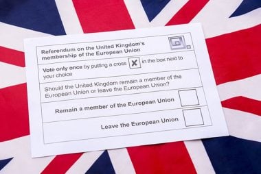 EU referendum pound euro dollar