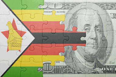 Zimbabwe should adopt south african rand