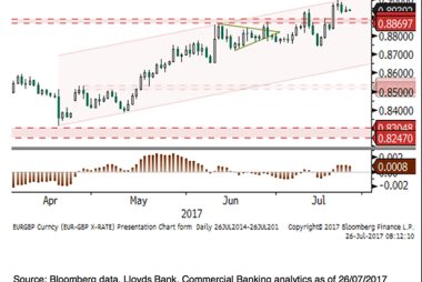 Euro to Pound Sterling exchange rate outlook Lloyds