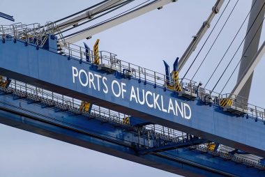 New Zealand Dollar an Outperformer as Economy Turns A Corner