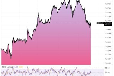 Canadian Dollar in Strong Relief Rally, BoC Decision Lands