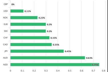 relative performance Pound 