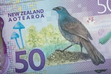 New Zealand Dollar Outlook: Democrat Clean Sweep an "Upside Risk" says ANZ