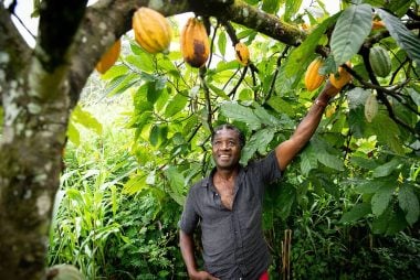 Chocolate Crisis: Surging Cocoa Prices Spurred by Margin Calls