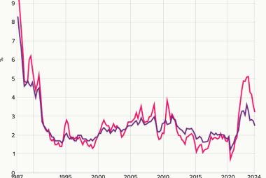 New Zealand Dollar Gives Up Gains Following Fall in Inflation Expectations