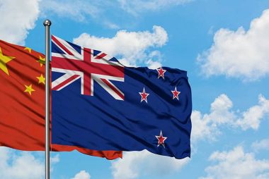 New Zealand Dollar Outperforms