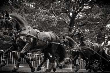 Pound-Dollar Rate is Consolidating but Lacks Horsepower for A Big Rally