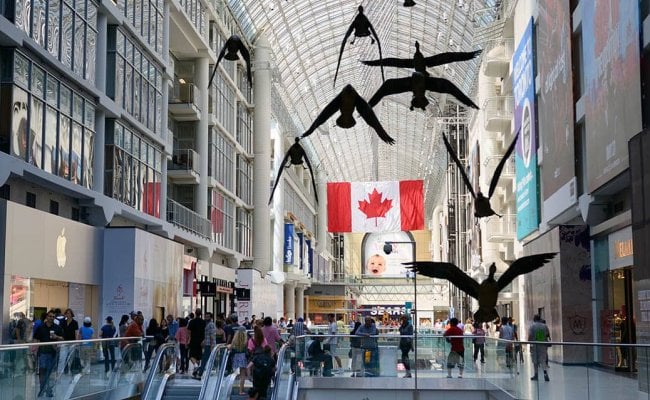 Pound-to-Canadian Dollar Week Ahead Forecast: Tariff Story Is Already Priced