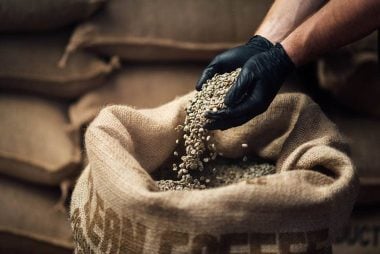 The Coffee Price Spike and UK Inflation