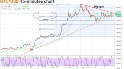 Bitcoin a "Sitting Duck"