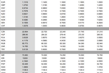 MUFG Exchange Rate Forecast Update: USD Strength to Endure for Longer, Forcing Others into Retreat